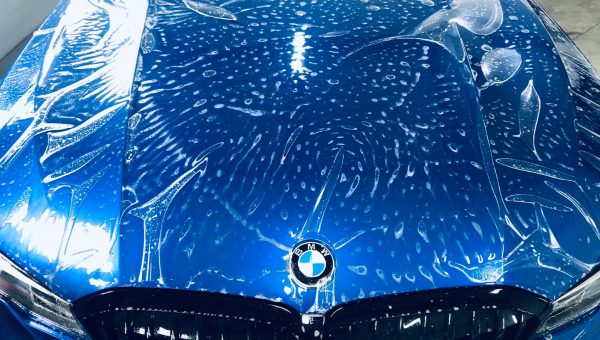 118074597_355318935872458_6338398301351585856_o 118074597_355318935872458_6338398301351585856_o